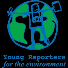 Squared Logos + Transparent Background